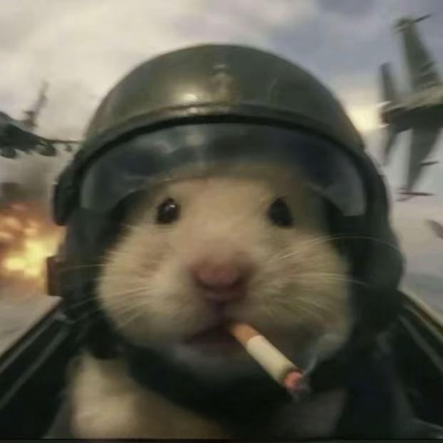 老鼠抓猫