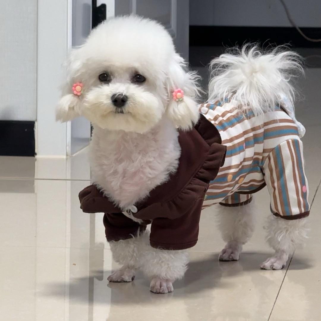 王家丫头