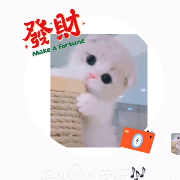 ღ᭄ꦿ 安好🎶