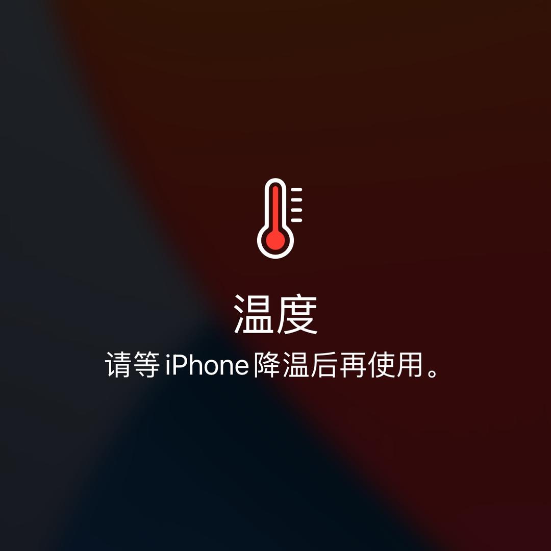 悟道淘金