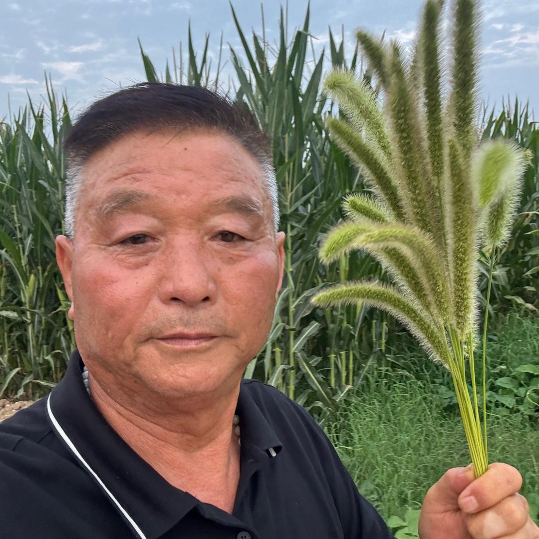 心随衣动