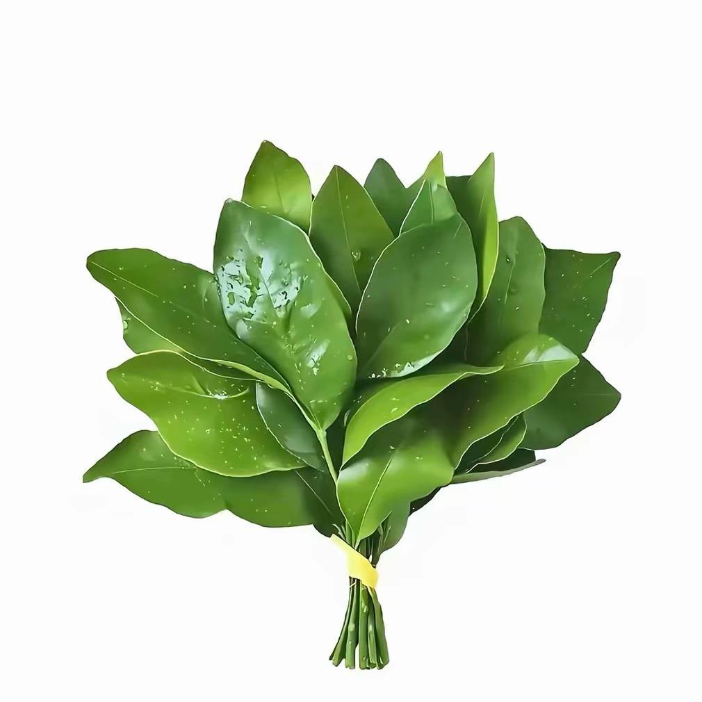 刷老头医保去夜店