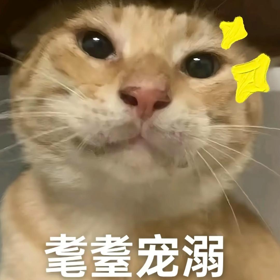 20岁青铜选手