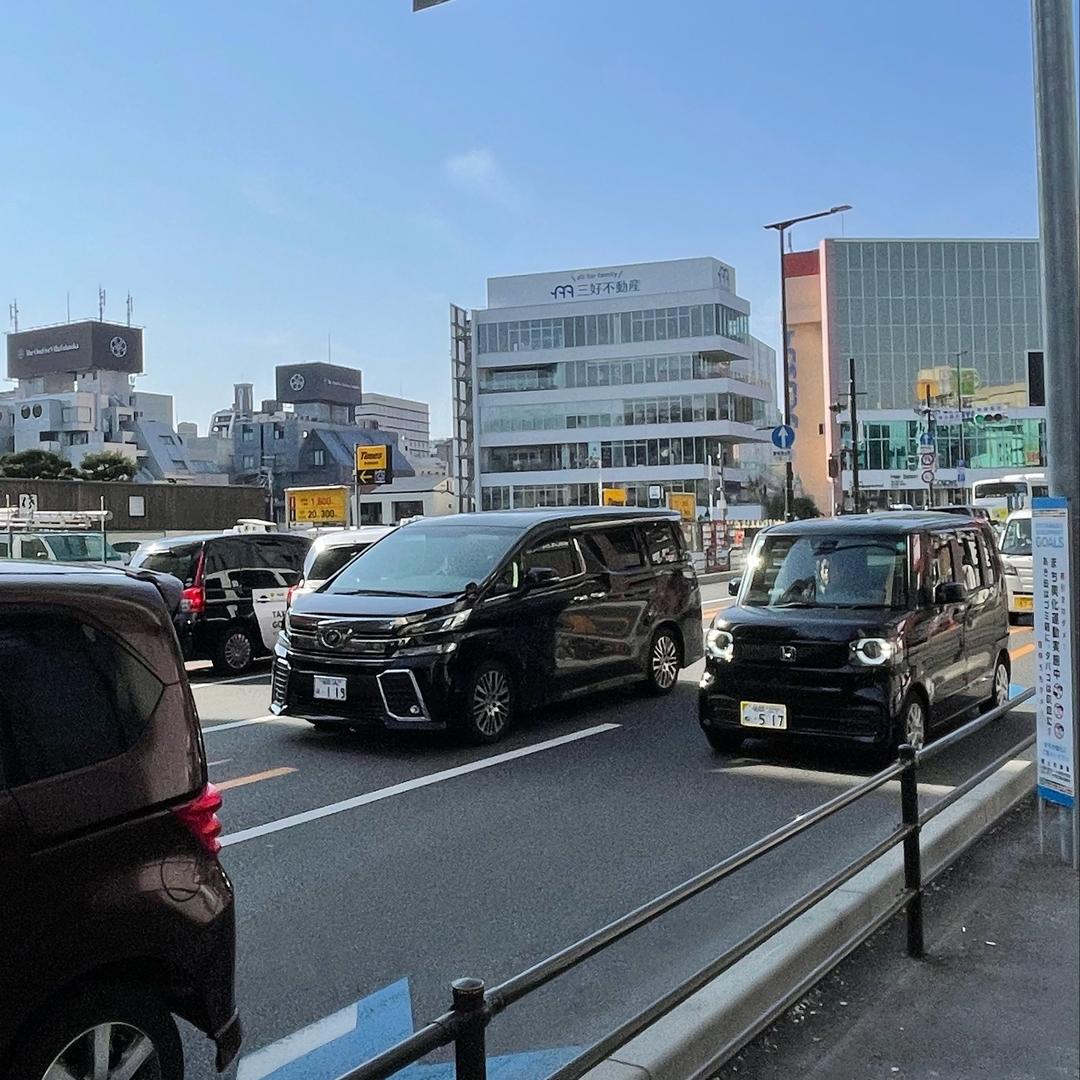 陈伟霆项城分霆