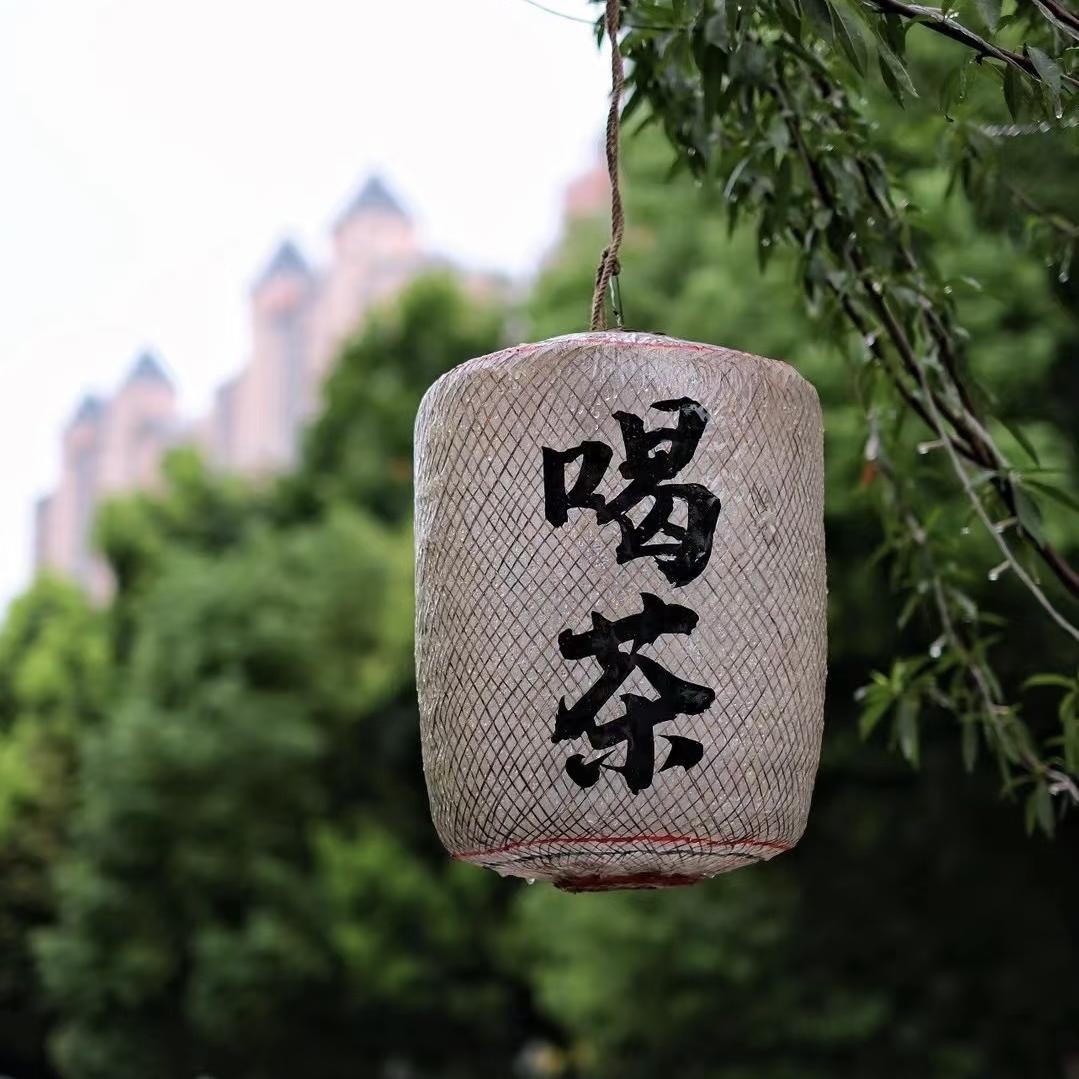 冰岛地界茶公主