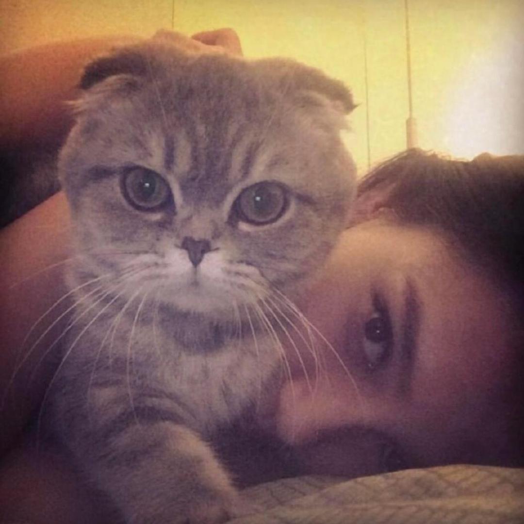 17@（月半猫限流版）