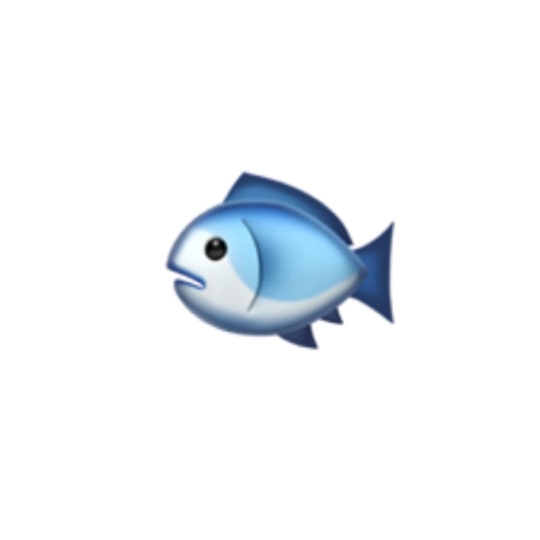 小余也是🐟