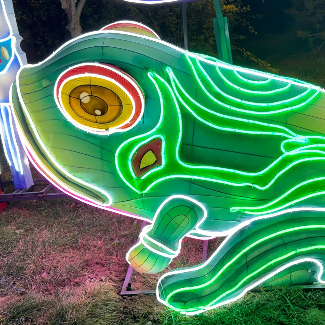 驾驾驾驾驾驾驾驾驾于于于