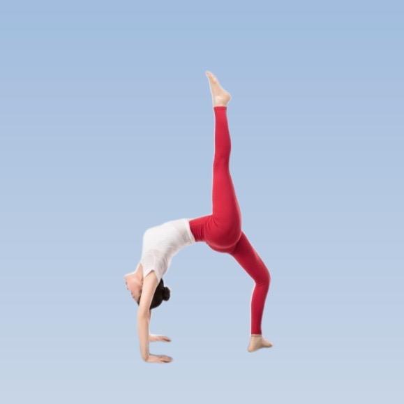 M•Yoga