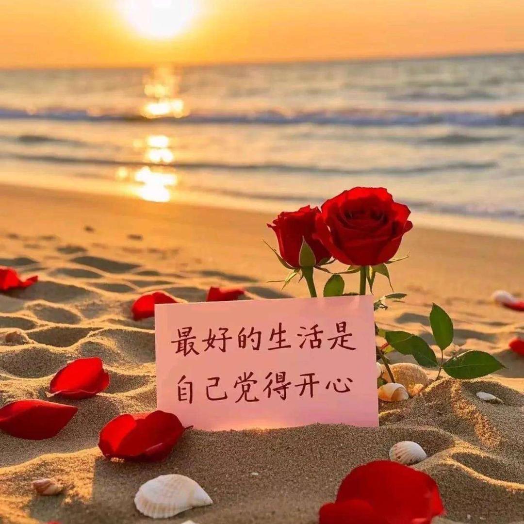 壳不壳以