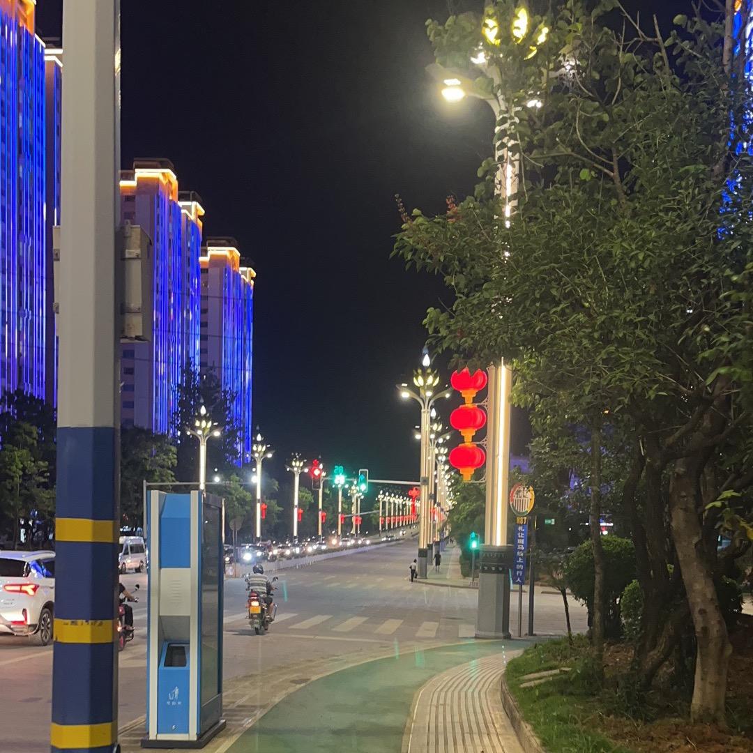 专业的车医生