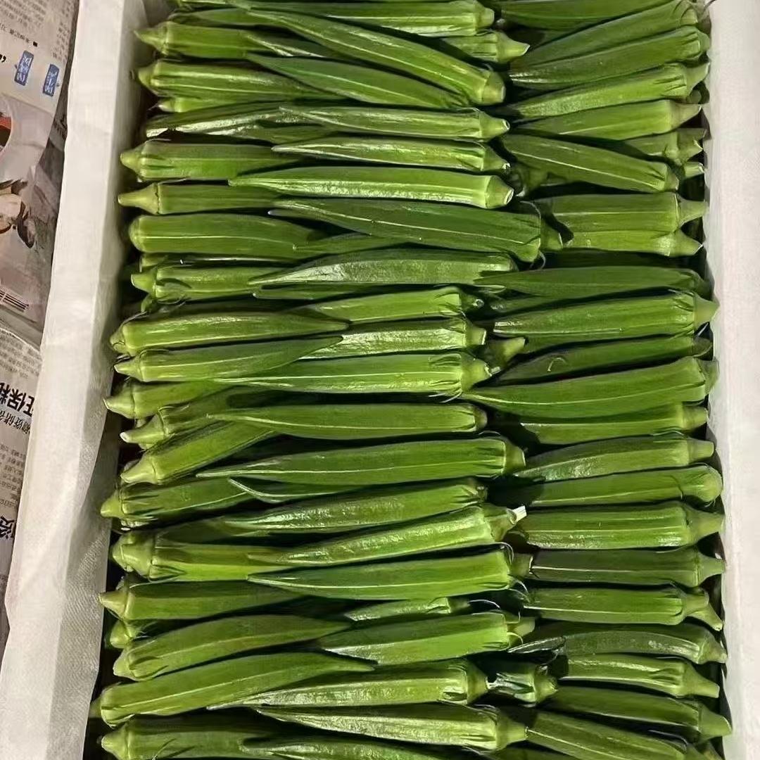 阿豪秋葵种子店