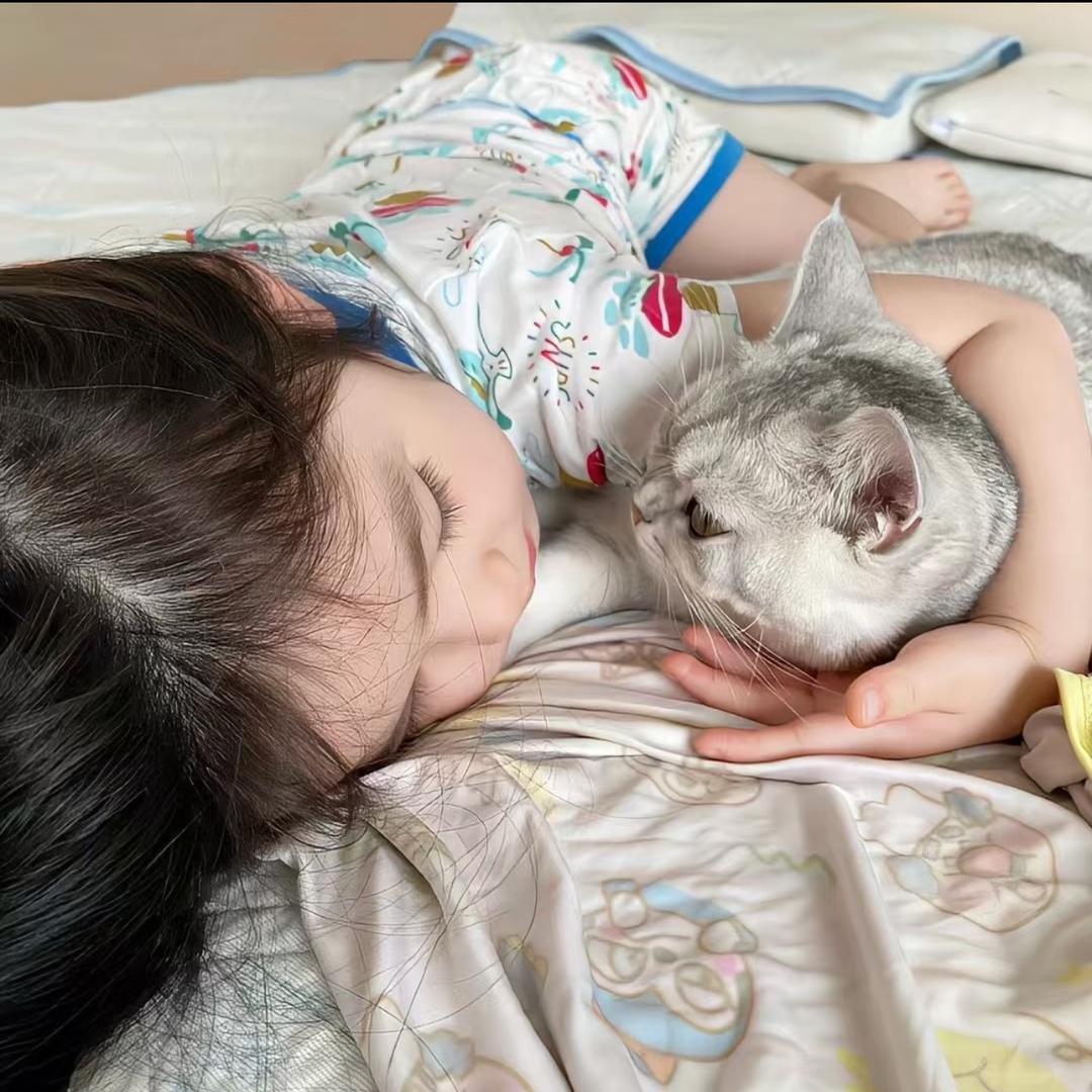 羊咩咩