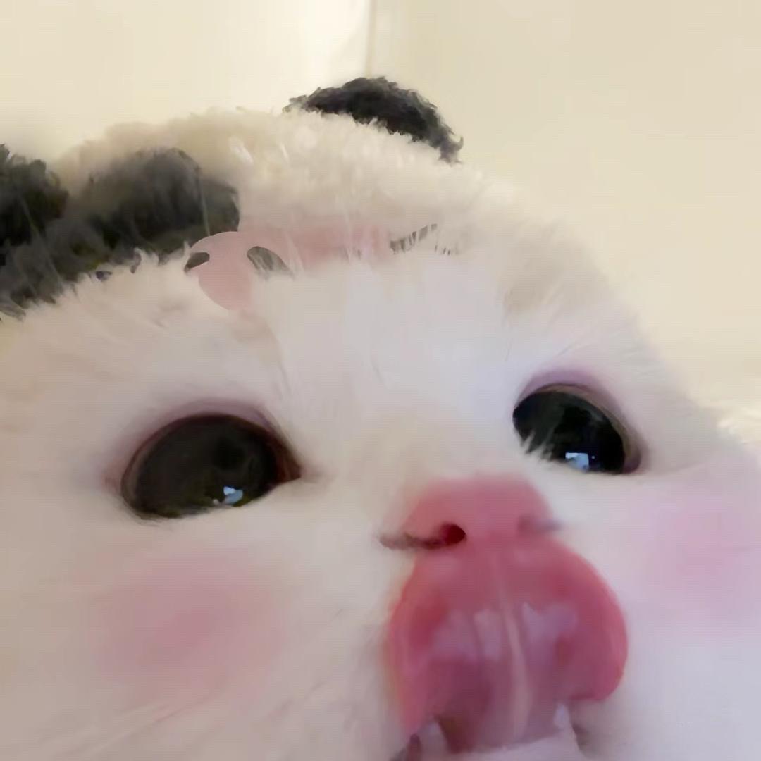 一莓七七