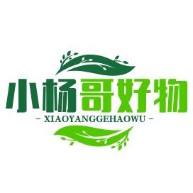 小杨哥好物甄选