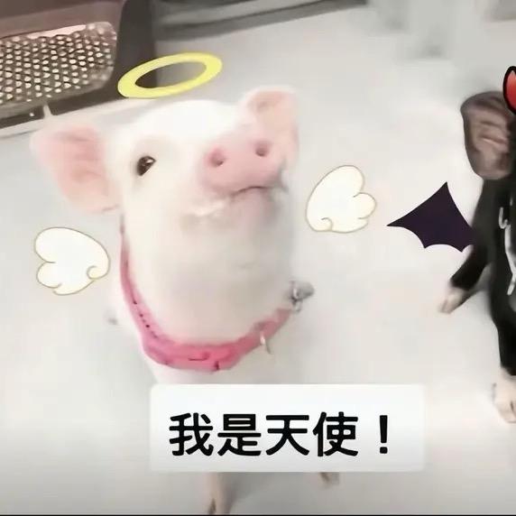 嵩嵩