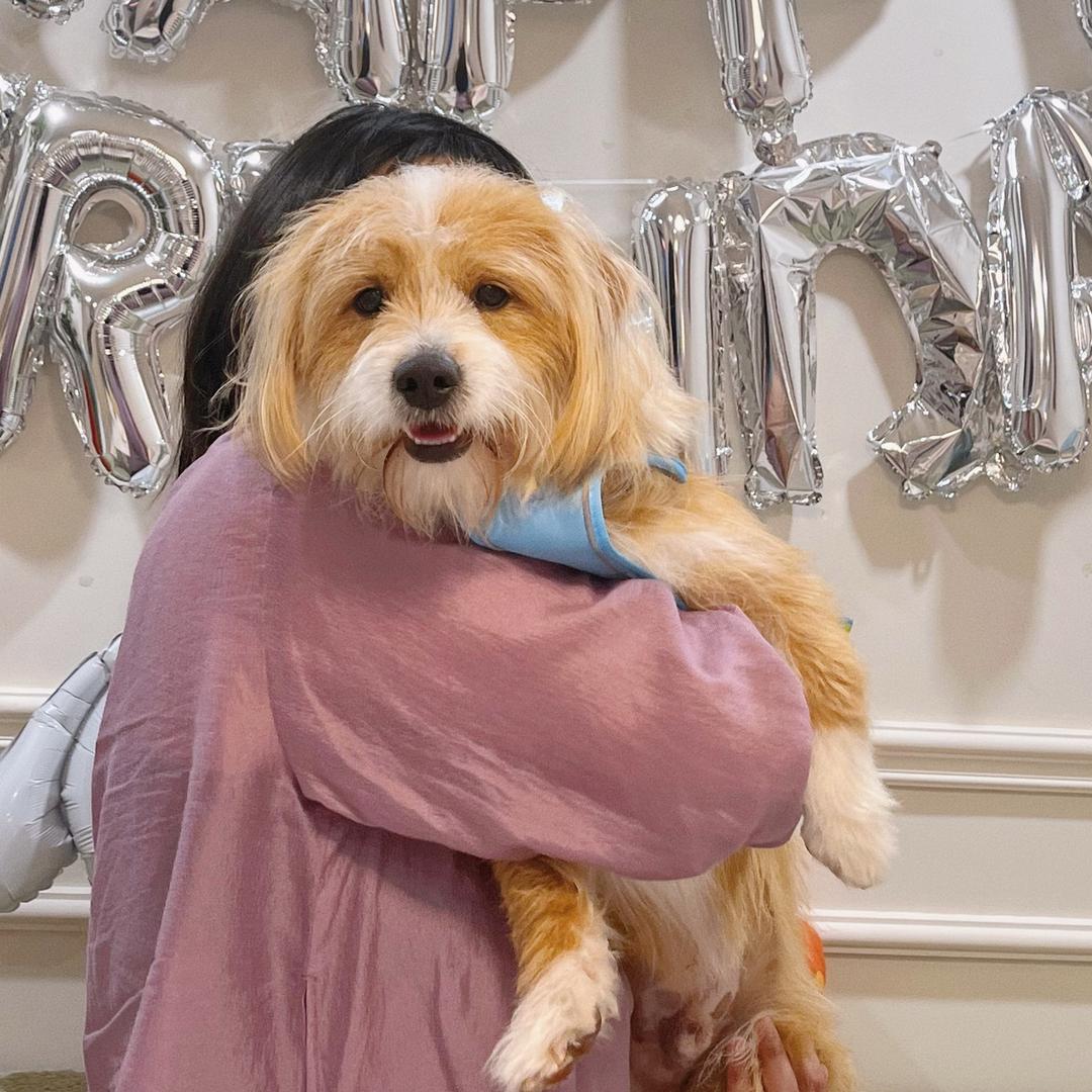 你的管家愿愿🧡