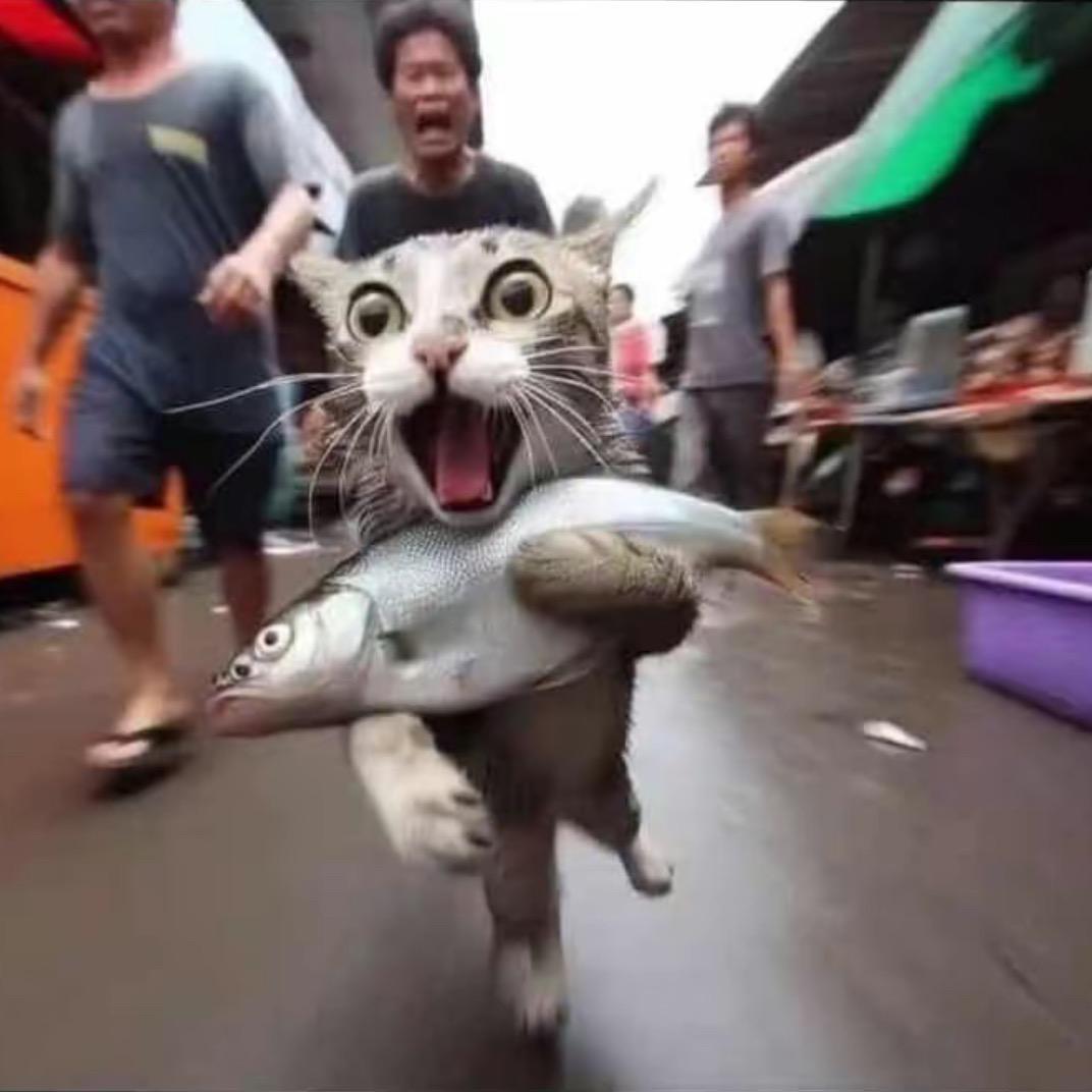 喜欢丑嘞