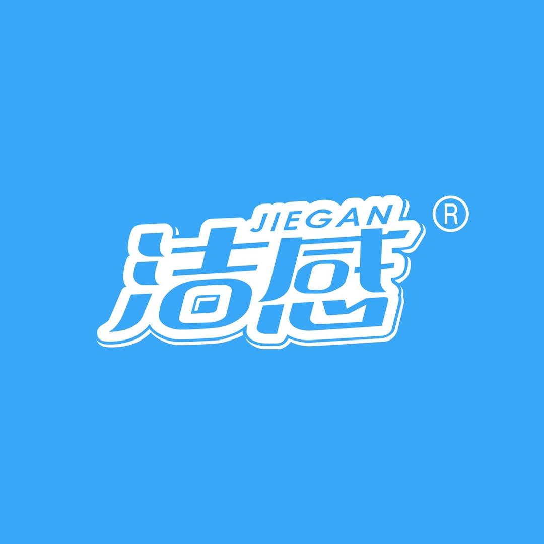 洁感洗护清洁旗舰店