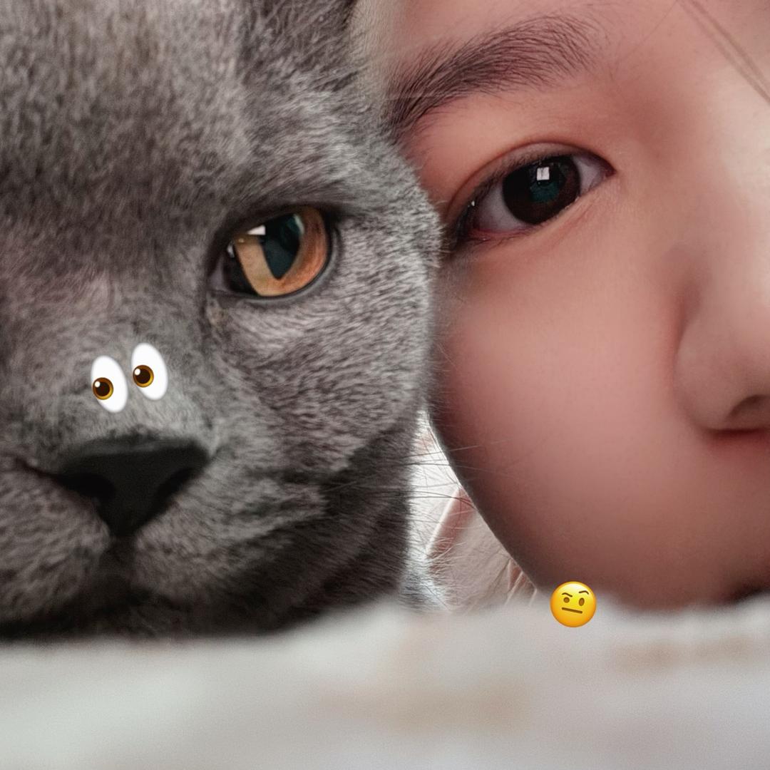 李奶饼是一只黑猪🐽