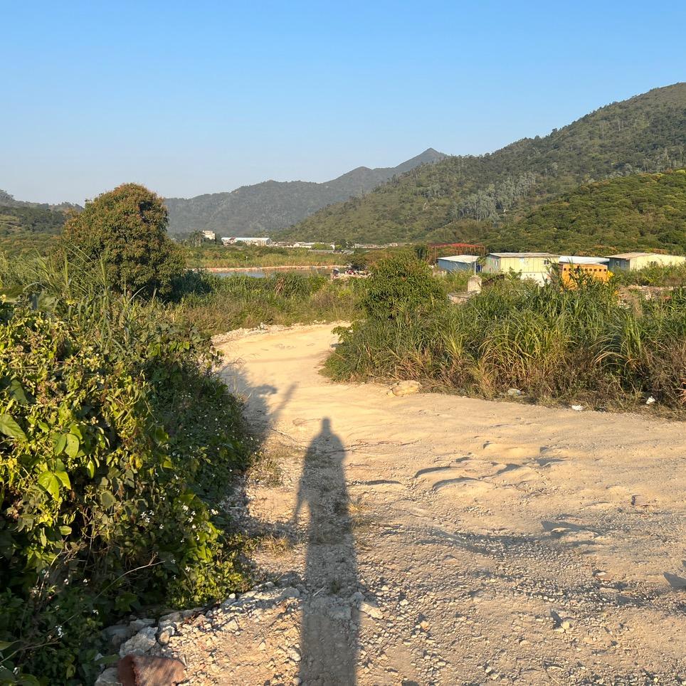 倾城小混