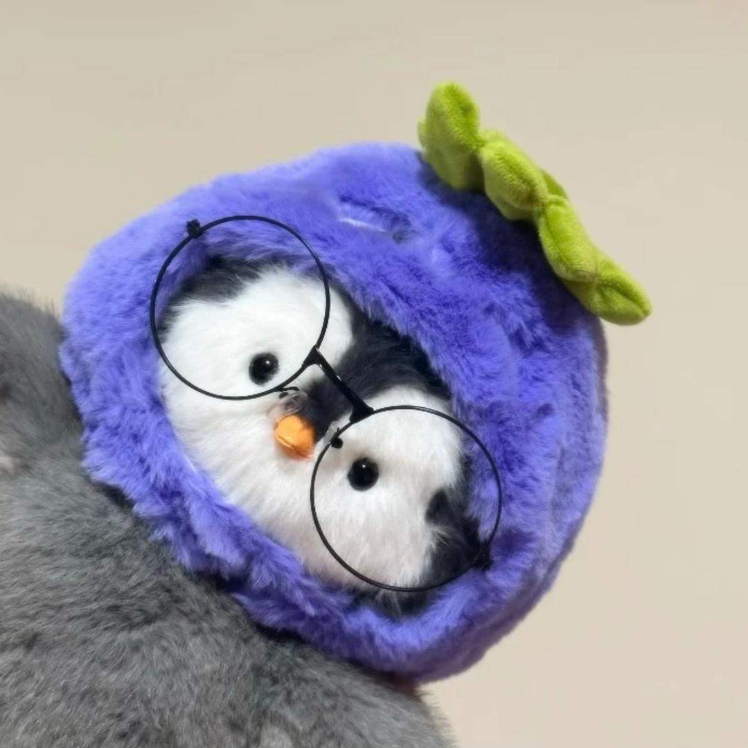 梓竹