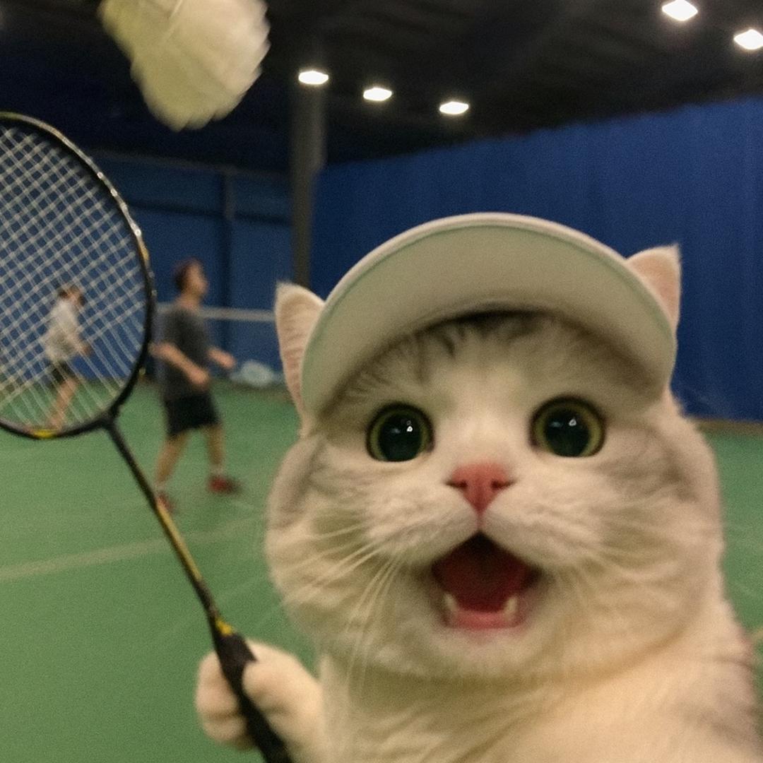 真碳板鞋贸商行