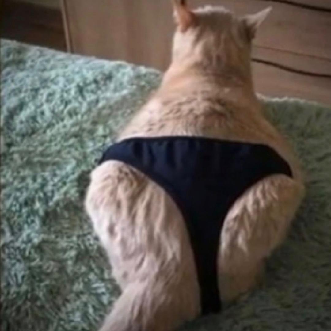 发财老昕