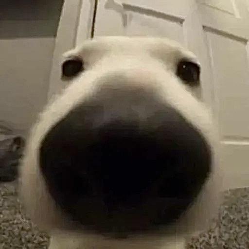 𝑥𝑧𝑐