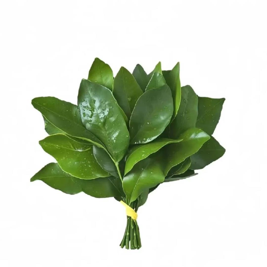 软脚虾