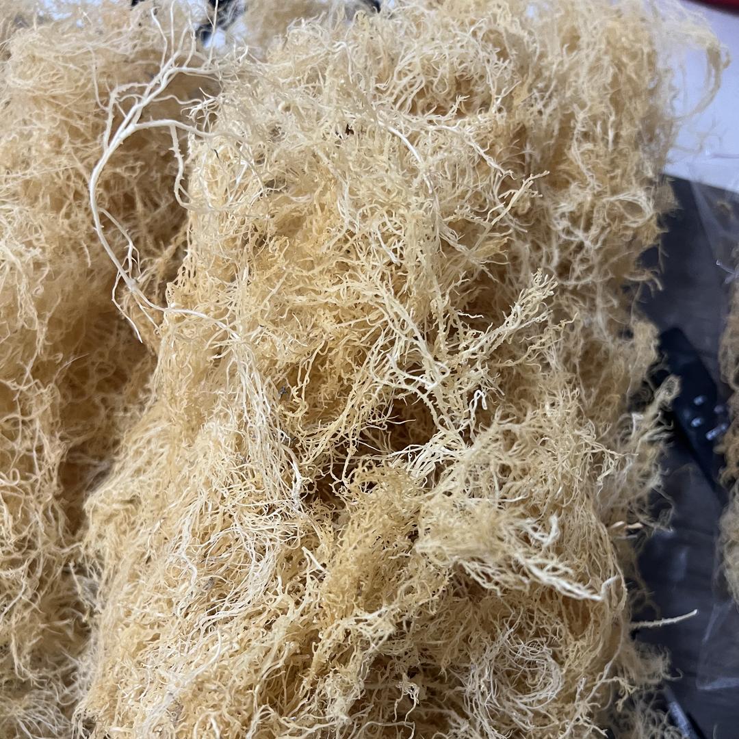 梓浩海鲜干货优品小铺