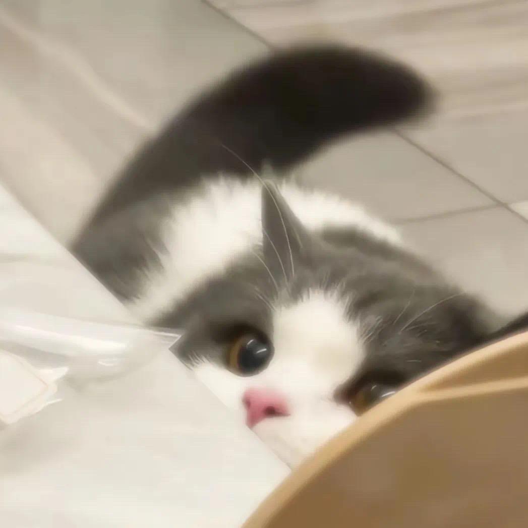半只橙