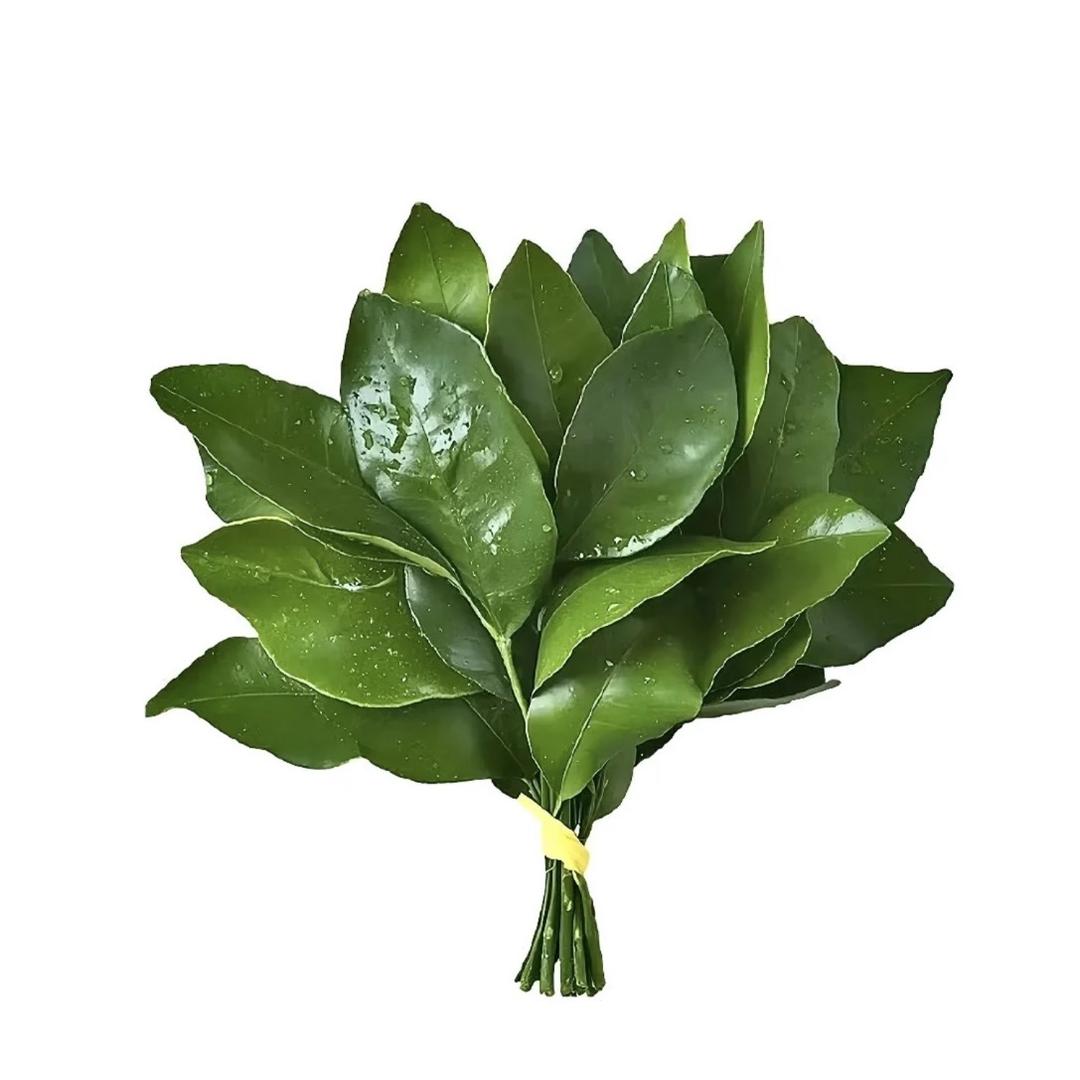 帅到旋转360度的霸道总裁