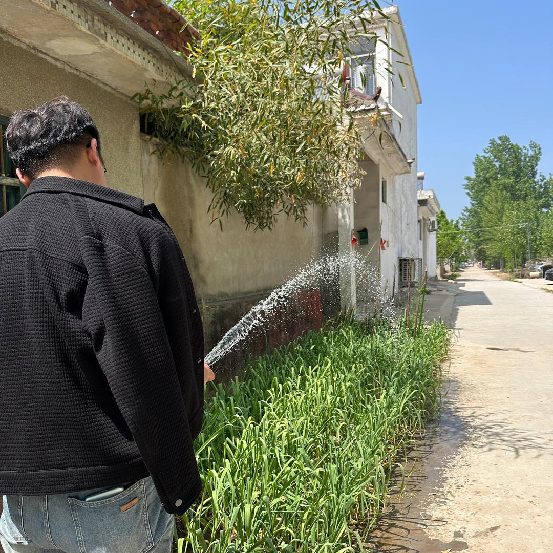 林中院—大帅吃点啥