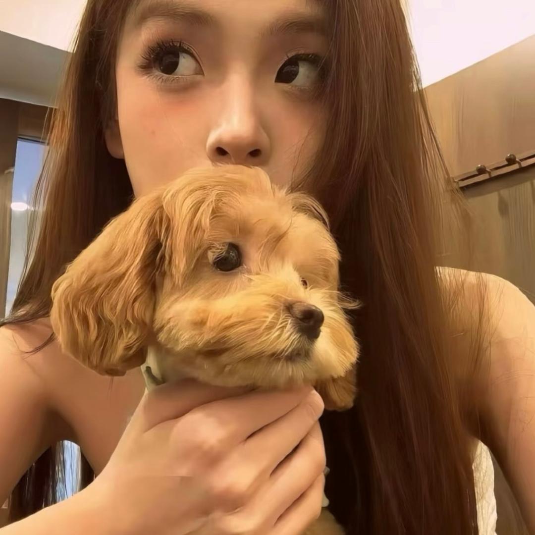 章鱼晨
