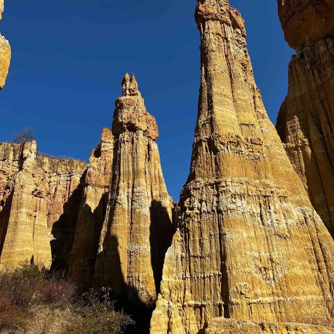 感悟人生   尔撒