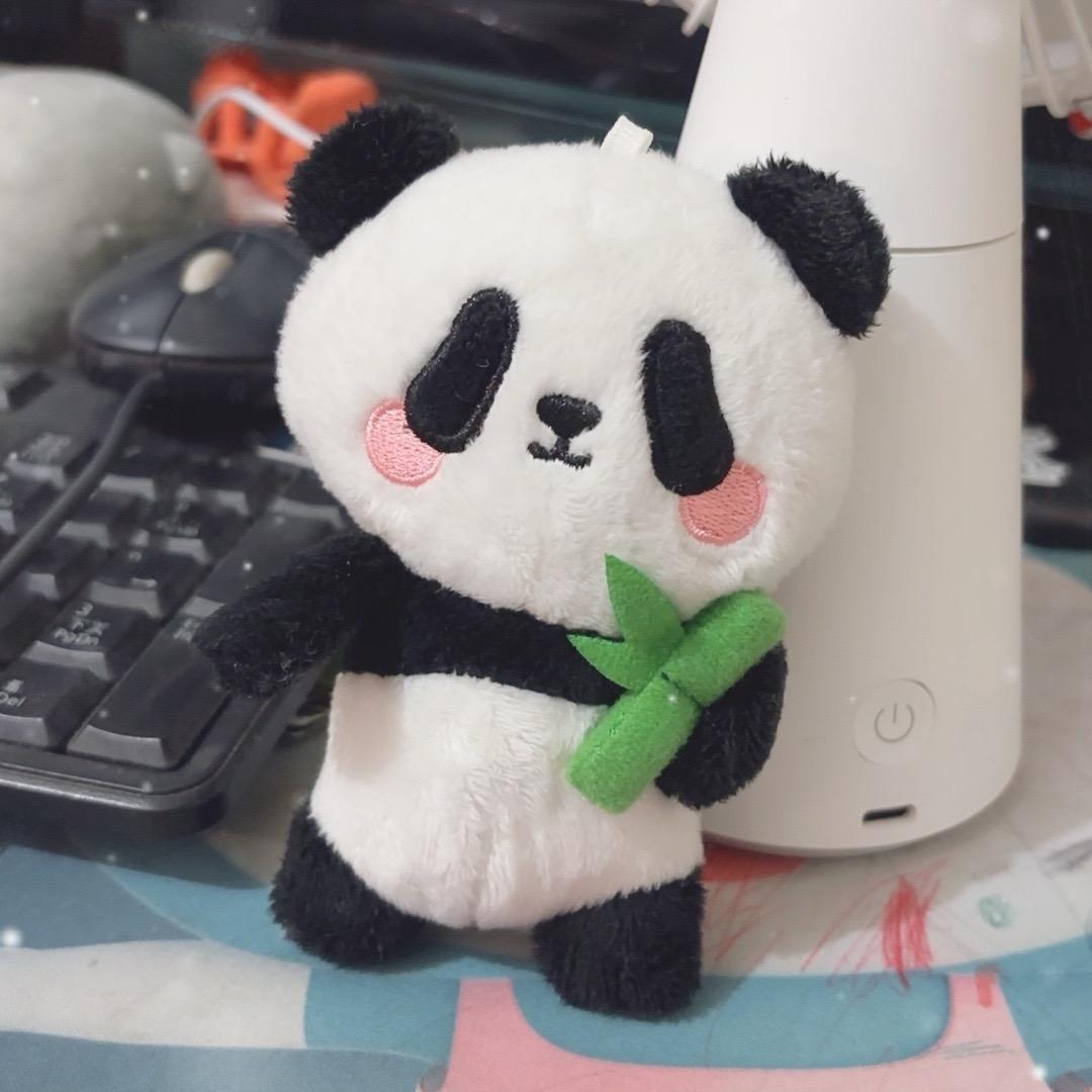 ～毛毛～