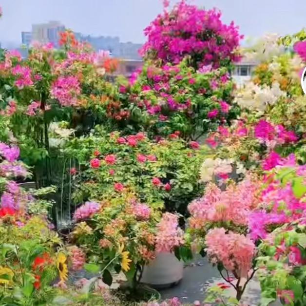 正羽体育专营店2号仓