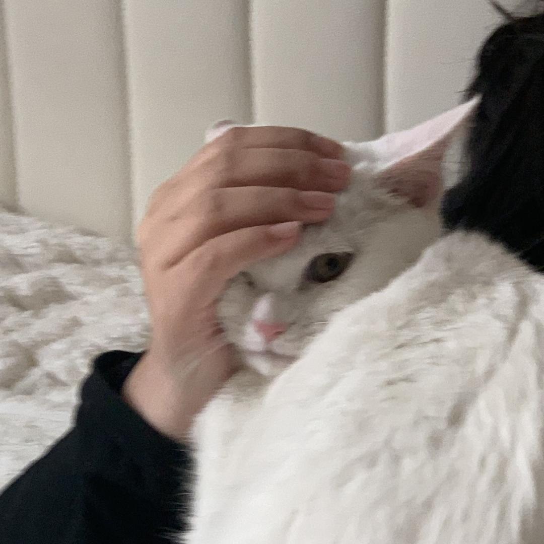 草莓奶豆腐🍓