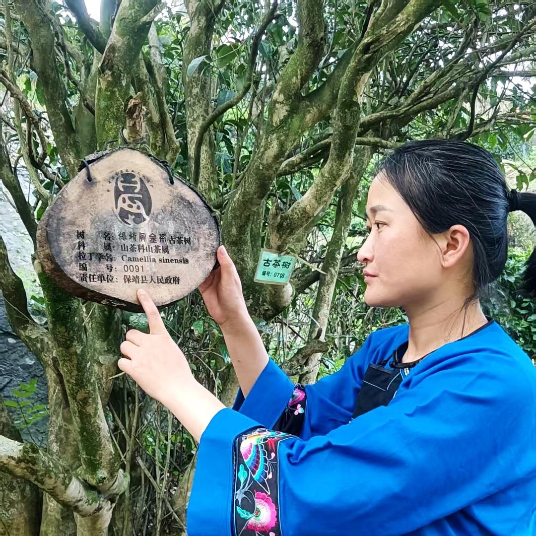 二马家