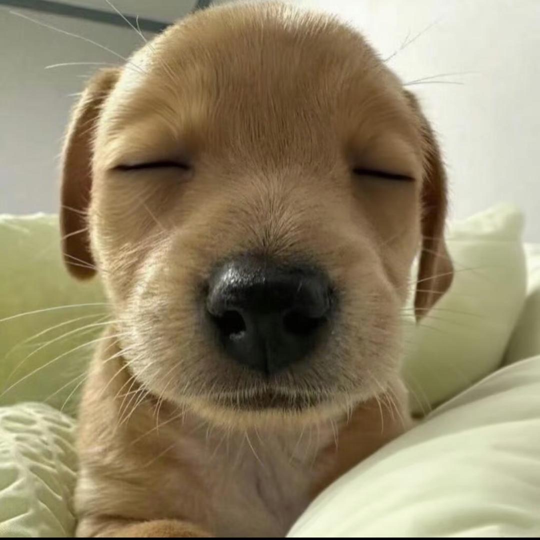 明天一定早睡
