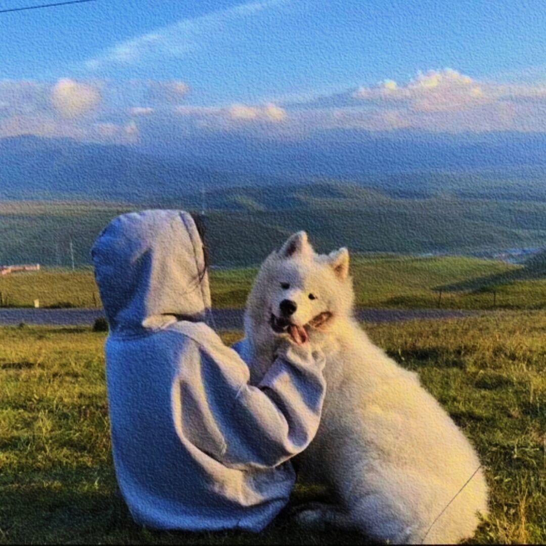 小张胖了吗👀