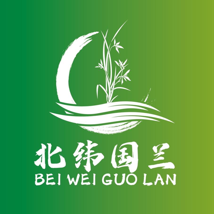 三十度国兰甄选
