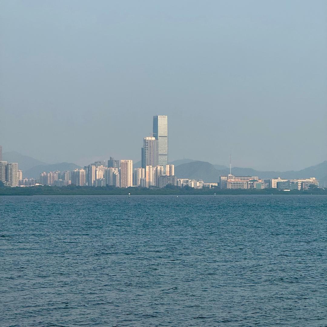 中国视野