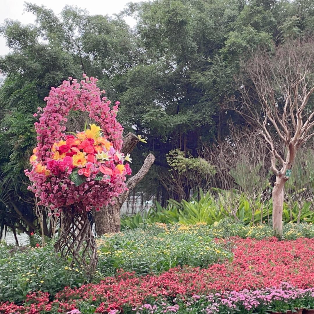 人生若如初相见