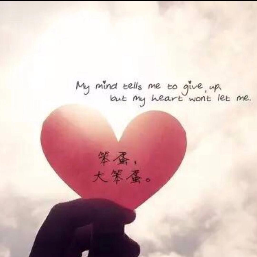 ღ💌ღ晶晶