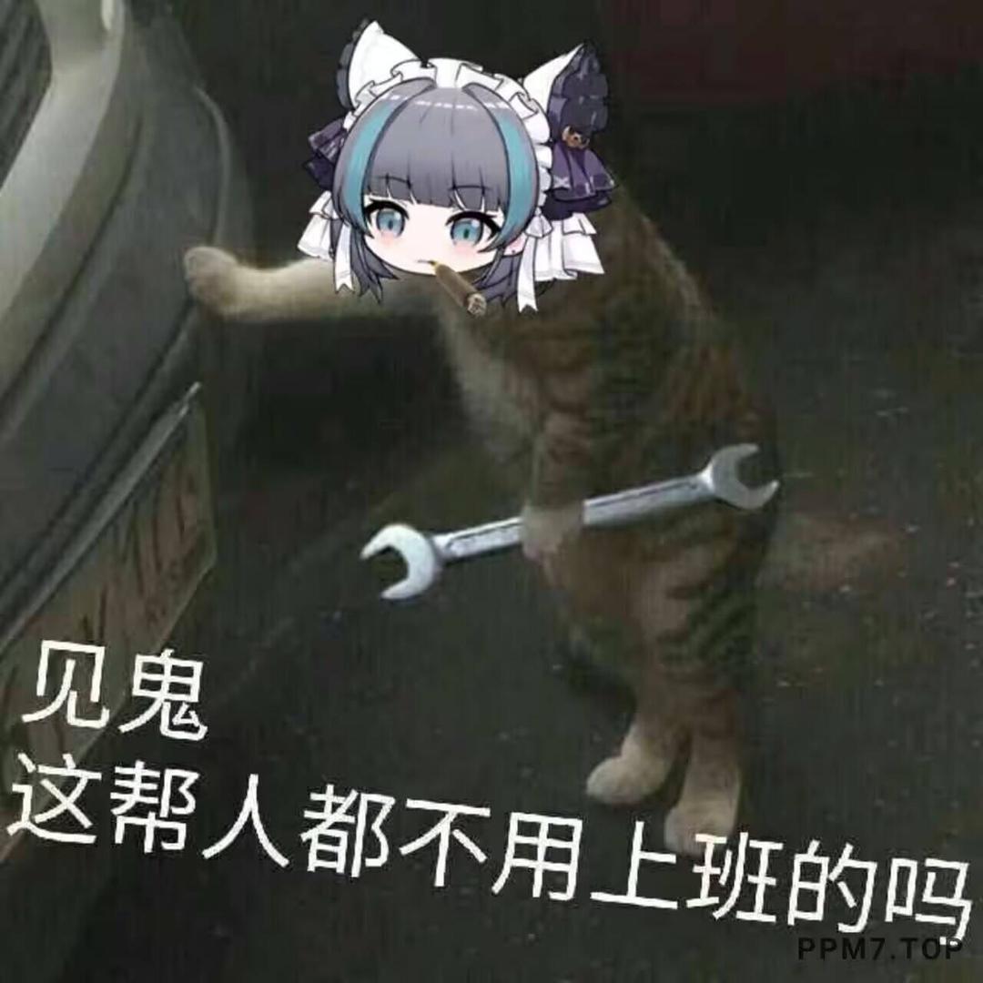 老哈