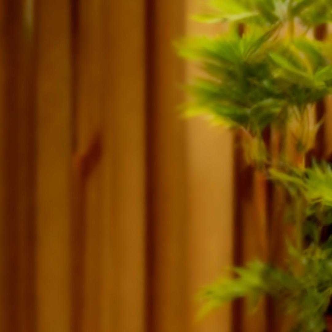 心能说（合作）