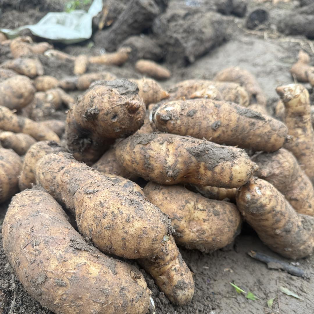 沁茗源土特产店