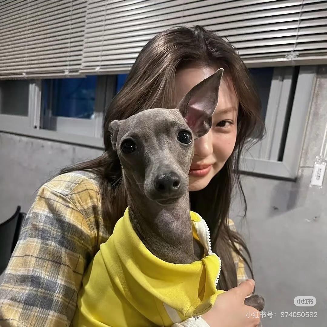 小小怡👧